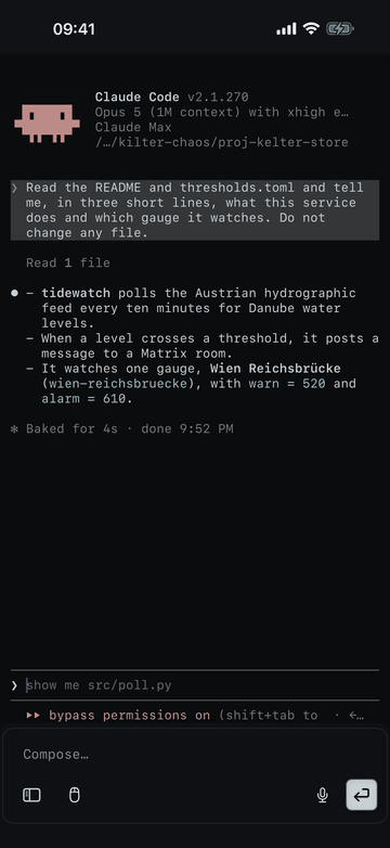 Kelter on an iPhone: a terminal tab on a server, where a coding agent has read a file and answered a question in three short lines. Below it, the compose bar and the mic.